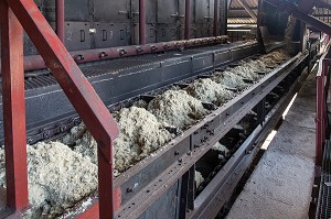 RECUPERATION DES FIBRES DE CANNE A SUCRE POUR ALIMENTER LES FOURS DE LA DISTILLERIE MARTINIQUAISE DE RHUM DES PLANTATIONS SAINT-JAMES, SAINTE-MARIE, MARTINIQUE, ANTILLES FRANCAISES, FRANCE 