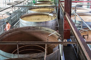 CUVE DE FERMENTATION DU JUS DE CANNE A SUCRE, DISTILLERIE MARTINIQUAISE DE RHUM DES PLANTATIONS SAINT-JAMES, SAINTE-MARIE, MARTINIQUE, ANTILLES FRANCAISES, FRANCE 