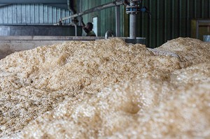 CUVE DE FERMENTATION DU JUS DE CANNE A SUCRE, DISTILLERIE MARTINIQUAISE DE RHUM DES PLANTATIONS SAINT-JAMES, SAINTE-MARIE, MARTINIQUE, ANTILLES FRANCAISES, FRANCE 