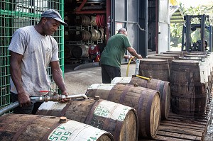 REMPLISSAGE DES TONNEAUX DE RHUM, DISTILLERIE MARTINIQUAISE DES PLANTATIONS SAINT-JAMES, SAINTE-MARIE, MARTINIQUE, ANTILLES FRANCAISES, FRANCE 