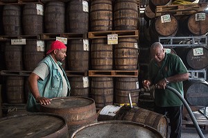 REMPLISSAGE DES TONNEAUX (VIEUX FUTS) DE RHUM, DISTILLERIE MARTINIQUAISE DES PLANTATIONS SAINT-JAMES, SAINTE-MARIE, MARTINIQUE, ANTILLES FRANCAISES, FRANCE 