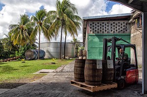 TRANSPORT DES TONNEAUX (VIEUX FUTS) DE RHUM, DISTILLERIE MARTINIQUAISE DES PLANTATIONS SAINT-JAMES, SAINTE-MARIE, MARTINIQUE, ANTILLES FRANCAISES, FRANCE 