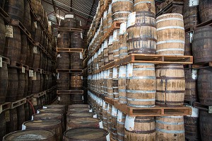 STOCKAGE DES TONNEAUX (VIEUX FUTS) DE RHUM, CAVE DE VIEILLISSEMENT DE LA DISTILLERIE MARTINIQUAISE DES PLANTATIONS SAINT-JAMES, SAINTE-MARIE, MARTINIQUE, ANTILLES FRANCAISES, FRANCE 