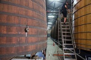 FOUDRE DE VIEILLISSEMENT DE RHUM, DISTILLERIE MARTINIQUAISE DES PLANTATIONS SAINT-JAMES, SAINTE-MARIE, MARTINIQUE, ANTILLES FRANCAISES, FRANCE 