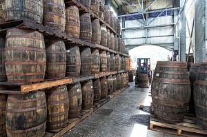 STOCKAGE DES FUTS DE RHUM, DISTILLERIE DEPAZ, SAINT-PIERRE, MARTINIQUE, ANTILLES FRANCAISES, FRANCE 