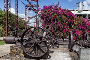 VISITE DE L'ANCIENNE DISTILLERIE DE L'HABITATION CLEMENT, FABRICANT DE RHUM, LE FRANCOIS, MARTINIQUE, ANTILLES FRANCAISES, FRANCE 