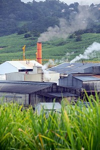 USINE SUCRIERE DU GALION, DERNIERE UNITE DE FABRICATION DE SUCRE DE CANNE AU MILIEU DES PLANTATIONS, LE GALION, LA TRINITE, MARTINIQUE, ANTILLES FRANCAISES, FRANCE 