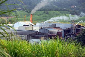 USINE SUCRIERE DU GALION, DERNIERE UNITE DE FABRICATION DE SUCRE DE CANNE AU MILIEU DES PLANTATIONS, LE GALION, LA TRINITE, MARTINIQUE, ANTILLES FRANCAISES, FRANCE 