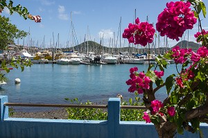 LE PORT DE PLAISANCE DE LA MARINA, LE MARIN, MARTINIQUE, ANTILLES FRANCAISES, FRANCE 