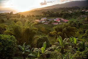 VEGETATION TROPICALE ET HAMEAU DU VILLAGE, LE MORNE ROUGE, MARTINIQUE, ANTILLES FRANCAISES, FRANCE 