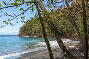 HABITATION DE L'ANSE COULEUVRE, LE PRECHEUR, MARTINIQUE, ANTILLES FRANCAISES, FRANCE 