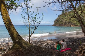 HABITATION DE L'ANSE COULEUVRE, LE PRECHEUR, MARTINIQUE, ANTILLES FRANCAISES, FRANCE 