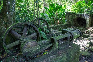 LA MACHINE A PISTON DE L'ANCIENNE SUCRERIE DE L'HABITATION DE L'ANSE COULEUVRE, FORET TROPICALE DU PRECHEUR, MARTINIQUE, ANTILLES FRANCAISES, FRANCE 