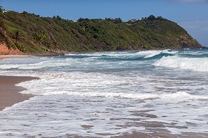 PLAGE DE L'ANSE CHARPENTIER, LE MARIGOT, MARTINIQUE, FRANCE 