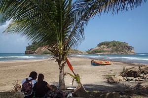 COUPLE SOUS UN PALMIER DEVANT L'ILET SAINTE-MARIE, PLAGE DE SAINTE-MARIE, MARTINIQUE, ANTILLES FRANCAISES, FRANCE 