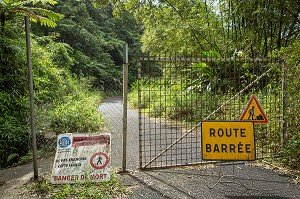 ROUTE BARREE AU MILIEU DE LA FORET TROPICALE, FONDS-SAINT-DENIS, MARTINIQUE, ANTILLES FRANCAISES, FRANCE 