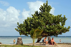 PLAGE DE LA POINTE FAULA, LE VAUCLIN, MARTINIQUE, ANTILLES FRANCAISES, FRANCE 