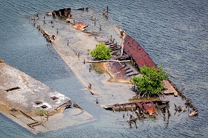 CIMETIERE MARITIME OU LA VEGETATION, DES PALETUVIERS INVESTISSENT LES CARCASSES ROUILLEES, FORT-DE-FRANCE, MARTINIQUE, ANTILLES FRANCAISES, FRANCE 
