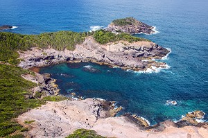 LA POINTE DE LA PRESQU'ILE DE LA CARAVELLE, MARTINIQUE, ANTILLES FRANCAISES, FRANCE 