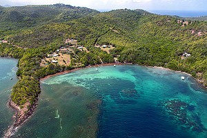 LA BAIE DU TRESOR, PRESQU'ILE DE LA CARAVELLE, MARTINIQUE, ANTILLES FRANCAISES, FRANCE 