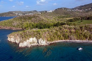 BATEAU DE PLONGEE SUR LES EAUX TRANSPARENTES, LES ANSES-D‘ARLET, MARTINIQUE, ANTILLES FRANCAISES, FRANCE 