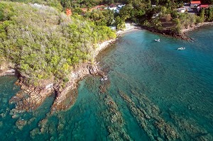 LES BORDS DE MER DE L'ANSE MITAN, LES TROIS ILETS, MARTINIQUE, ANTILLES FRANCAISES, FRANCE 