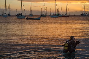 PLONGEE DE NUIT AU COUCHER DE SOLEIL, GRANDE ANSE D'ARLET, LES-ANSES-D'ARLET, MARTINIQUE, ANTILLES FRANCAISES, FRANCE 