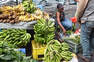 MARCHE AUX FRUITS ET LEGUMES, FORT-DE-FRANCE, MARTINIQUE, ANTILLES FRANCAISES, FRANCE 