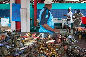 MARCHE AUX POISSONS, FORT-DE-FRANCE, MARTINIQUE, ANTILLES FRANCAISES, FRANCE 