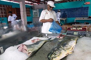 MARCHE AUX POISSONS, FORT-DE-FRANCE, MARTINIQUE, ANTILLES FRANCAISES, FRANCE 
