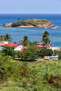 BORDS DE MER, TARTANE, ANSE ROUGE, LA TRINITE, PRESQU'ILE DE LA CARAVELLE, MARTINIQUE, ANTILLES FRANCAISES, FRANCE 