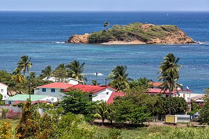 BORDS DE MER, TARTANE, ANSE ROUGE, LA TRINITE, PRESQU'ILE DE LA CARAVELLE, MARTINIQUE, ANTILLES FRANCAISES, FRANCE 