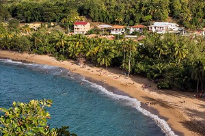 PLAGE DE SABLE FIN ET COCOTIERS, TARTANE, ANSE L'ETANG, LA TRINITE, PRESQU'ILE DE LA CARAVELLE, MARTINIQUE, ANTILLES FRANCAISES, FRANCE 