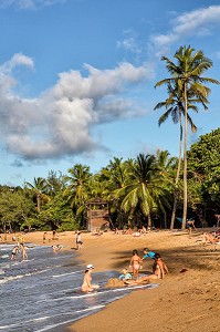 PLAGE DE SABLE FIN ET COCOTIERS, TARTANE, ANSE L'ETANG, LA TRINITE, PRESQU'ILE DE LA CARAVELLE, MARTINIQUE, ANTILLES FRANCAISES, FRANCE 