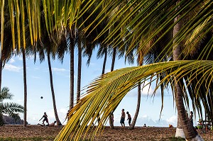 JEU DE PLAGE AU COCO BEACH CAFE, TARTANE, ANSE L'ETANG, LA TRINITE, PRESQU'ILE DE LA CARAVELLE, MARTINIQUE, ANTILLES FRANCAISES, FRANCE 