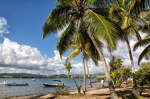 PETITE PLAGE DU CENTRE NAUTIQUE, TARTANE, LA TRINITE, PRESQU'ILE DE LA CARAVELLE, MARTINIQUE, ANTILLES FRANCAISES, FRANCE 