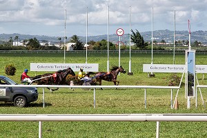 ARRIVEE D'UNE COURSE DE TROT ATTELE, PHOTO FINISH DES CHEVAUX, HIPPODROME DEPARTEMENTAL DE CARRERE, LE LAMENTIN, MARTINIQUE, ANTILLES FRANCAISES, FRANCE 