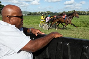 COMMISSAIRE DE COURSE DANS LA VOITURE, SURVEILLANCE DES ALLURES DES CHEVAUX ET DE LA REGULARITE DES CONCURRENTS, HIPPODROME DEPARTEMENTAL DE CARRERE, LE LAMENTIN, MARTINIQUE, ANTILLES FRANCAISES, FRANCE 