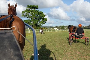 JOCKEYS A L'ENTRAINEMENT DES CHEVAUX AU TROT ATTELE, HIPPODROME DEPARTEMENTAL DE CARRERE, LE LAMENTIN, MARTINIQUE, ANTILLES FRANCAISES, FRANCE 