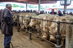 ELEVEURS ET NEGOCIANTS EN BETAIL SUR LE MARCHE AUX BESTIAUX, SAINT-CHRISTOPHE-EN-BRIONNAIS (71), FRANCE 