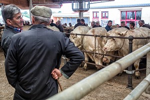 ELEVEURS ET NEGOCIANTS EN BETAIL SUR LE MARCHE AUX BESTIAUX, SAINT-CHRISTOPHE-EN-BRIONNAIS (71), FRANCE 