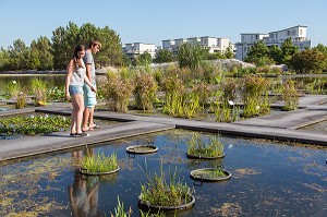 COUPLE EN BALADE DANS LE JARDIN BOTANIQUE, QUAI DES QUEYRIES, VILLE DE BORDEAUX, GIRONDE (33), FRANCE 