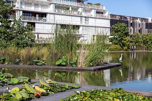 LE JARDIN BOTANIQUE, QUAI DES QUEYRIES, VILLE DE BORDEAUX, GIRONDE (33), FRANCE 