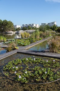 LE JARDIN BOTANIQUE, QUAI DES QUEYRIES, VILLE DE BORDEAUX, GIRONDE (33), FRANCE 