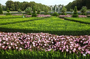 JARDIN A LA FRANCAISE DE ANDRE LE NOTRE, CHATEAU DE MAINTENON (28), FRANCE 