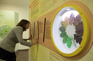 CENTRE D'INTERPRETATION DE LA FORET ET DE L'HOMME, CHATEAU DE SENONCHES (28), FRANCE 