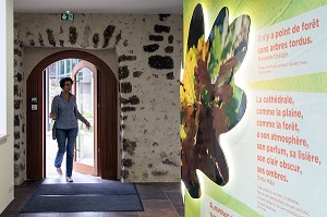 CENTRE D'INTERPRETATION DE LA FORET ET DE L'HOMME, CHATEAU DE SENONCHES (28), FRANCE 