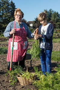 GRAND-MERE AVEC SON PETIT-FILS DANS LE JARDIN OUVRIER, VILLE DE VERNEUIL-SUR-AVRE (27), FRANCE 