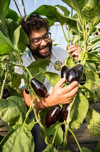 PRODUITS DE TERROIR, ALIMENTATION DE QUALITE, FRANCE 