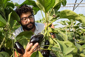 PRODUITS DE TERROIR, ALIMENTATION DE QUALITE, FRANCE 